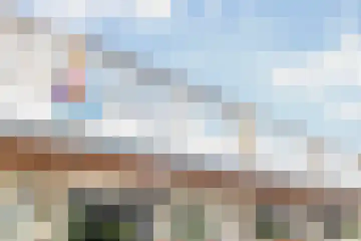 Baarlandhof 48 Rotterdam thumbnail 7