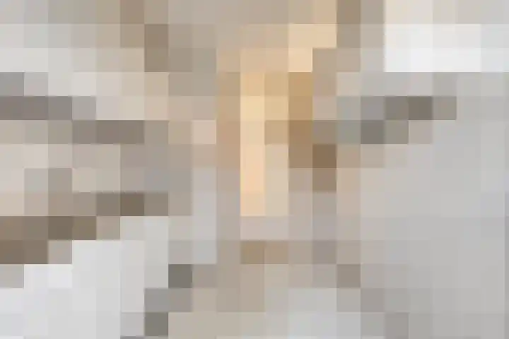 Baarle Hertoglaan 18 Eindhoven thumbnail 13