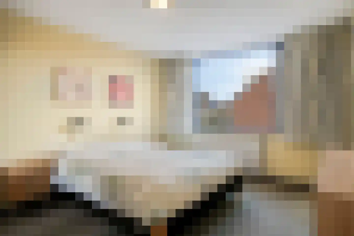 Baarle Hertoglaan 45 A Eindhoven thumbnail 23