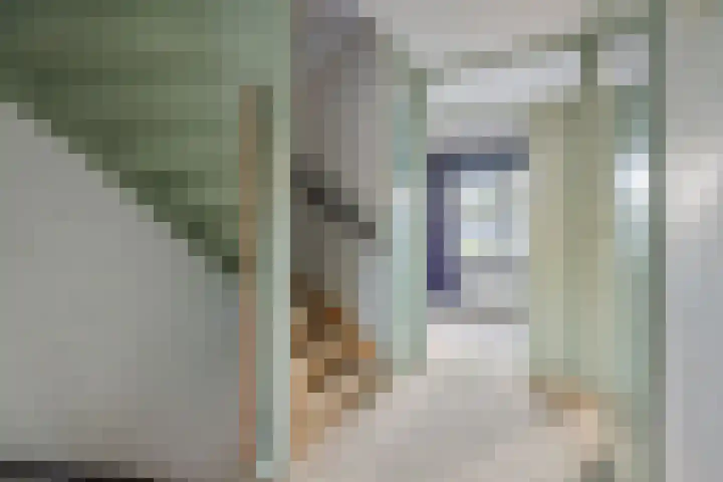 Baarle Hertoglaan 52 Eindhoven thumbnail 15