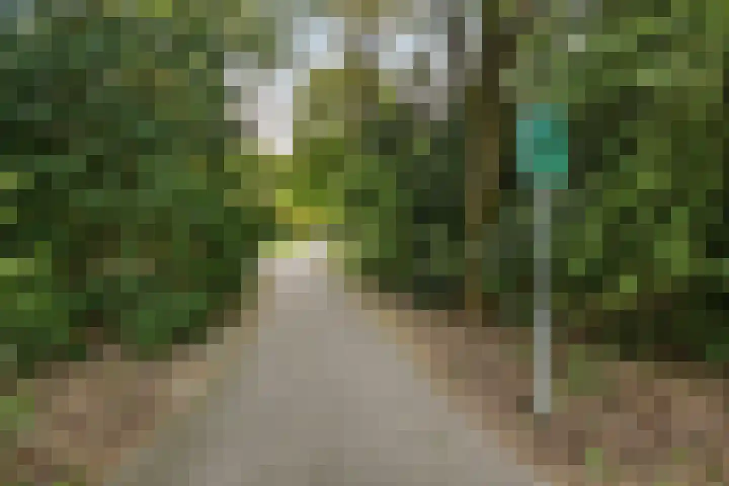 Baarle Hertoglaan 52 Eindhoven thumbnail 36