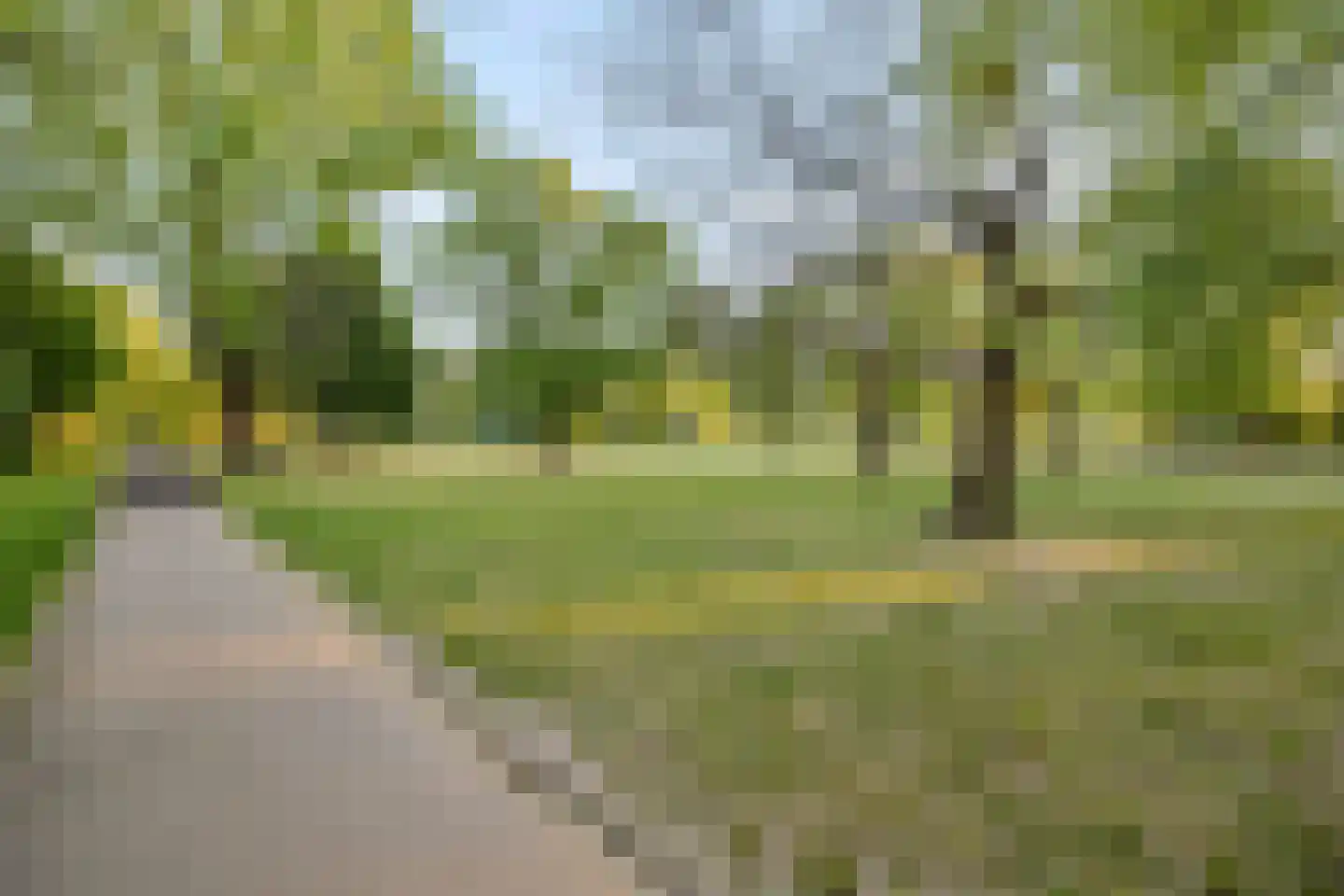 Baarle Hertoglaan 52 Eindhoven thumbnail 37