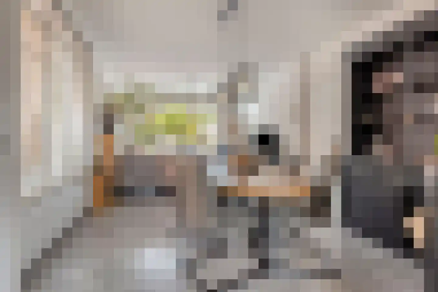 Baarleseweg 16 Alphen thumbnail 10