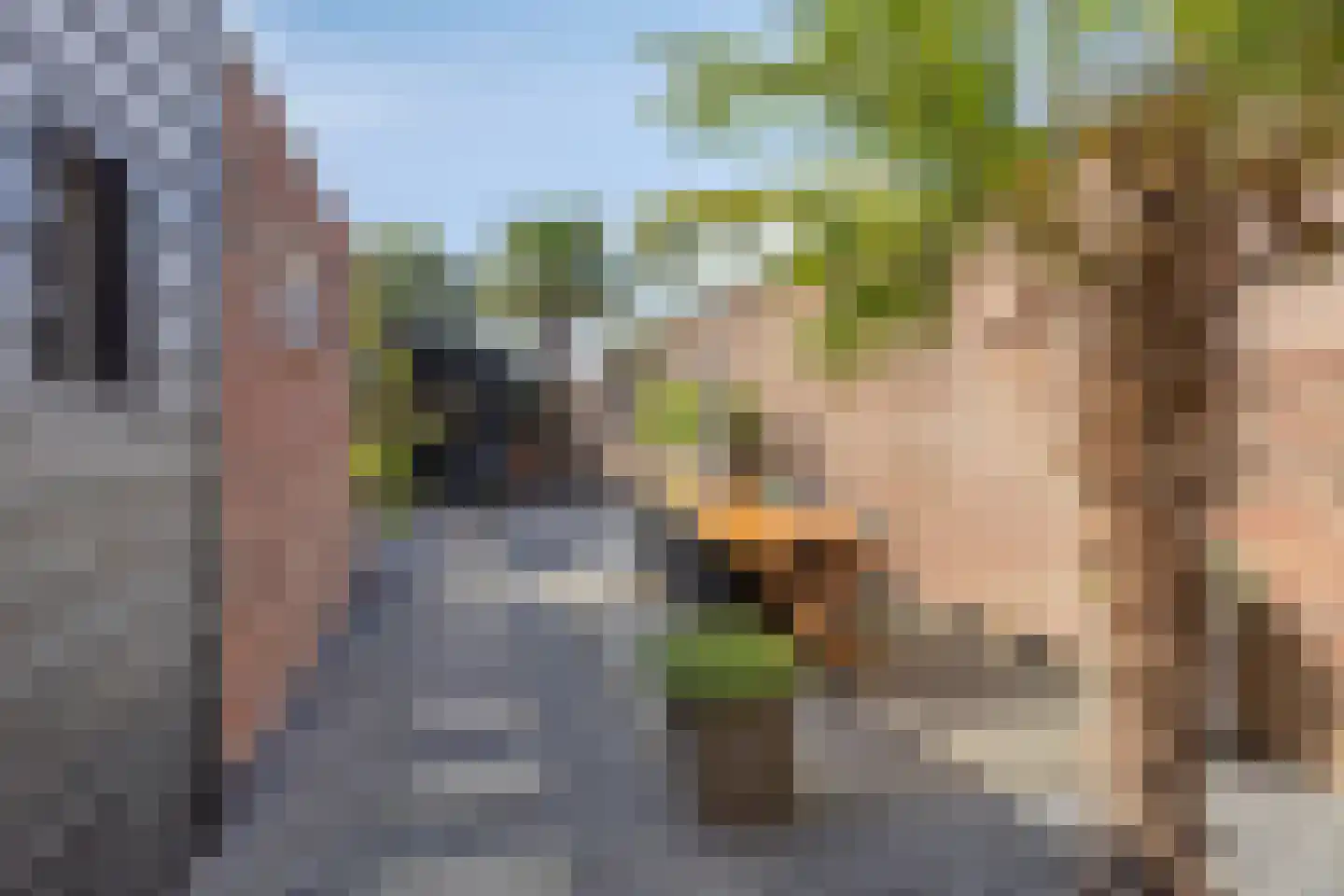 Baarleseweg 16 Alphen thumbnail 28