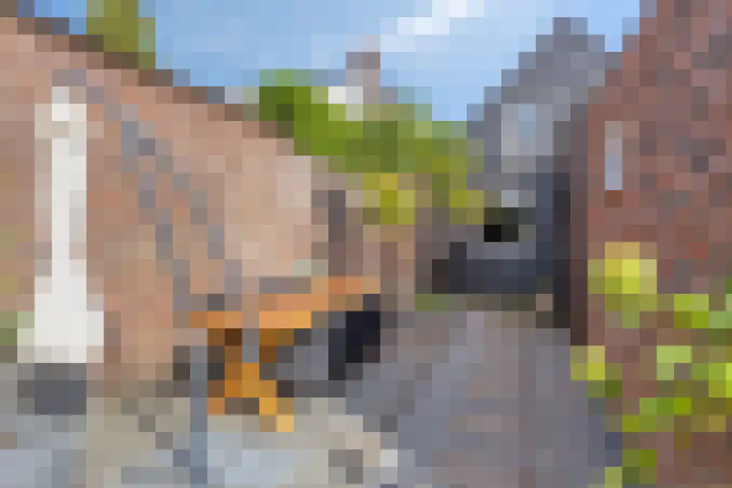 Baarleseweg 16 Alphen thumbnail 29