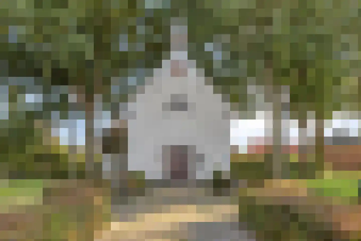 Baarleseweg 16 Alphen thumbnail 37