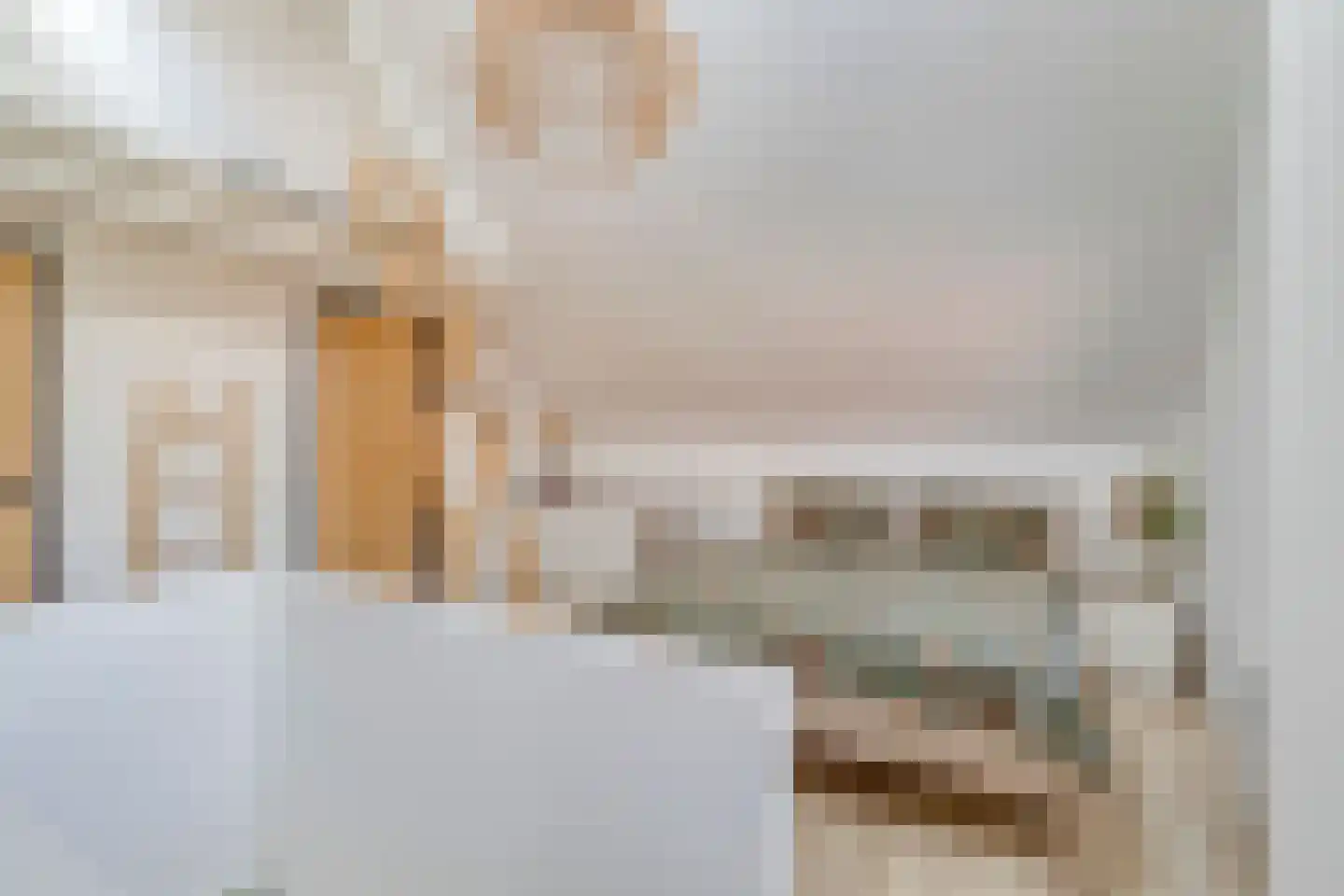 Baarleseweg 28 Ulicoten thumbnail 18