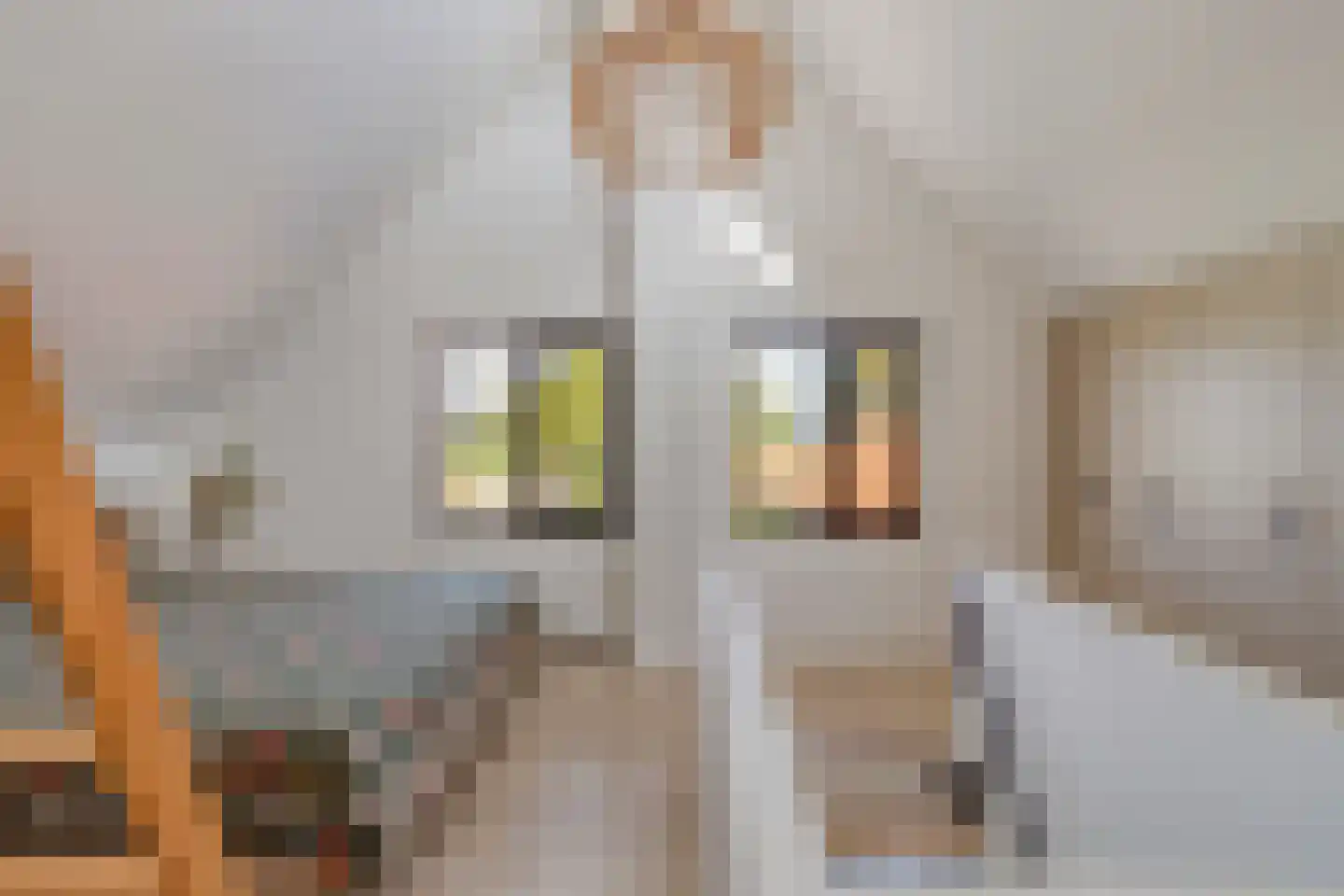 Baarleseweg 28 Ulicoten thumbnail 19