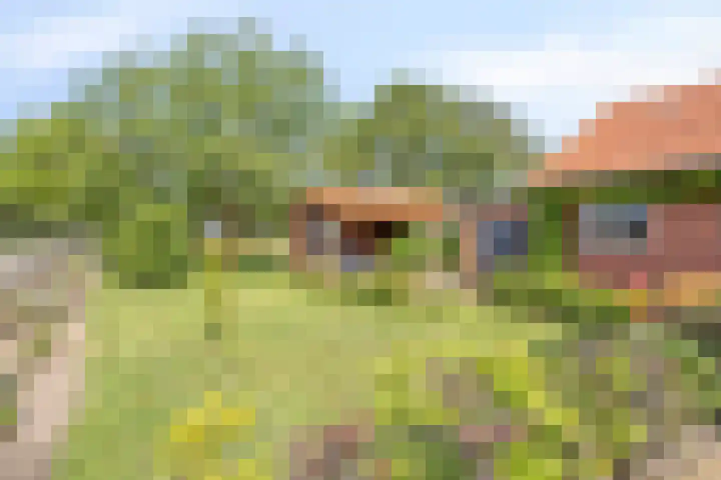 Baarleseweg 28 Ulicoten thumbnail 34