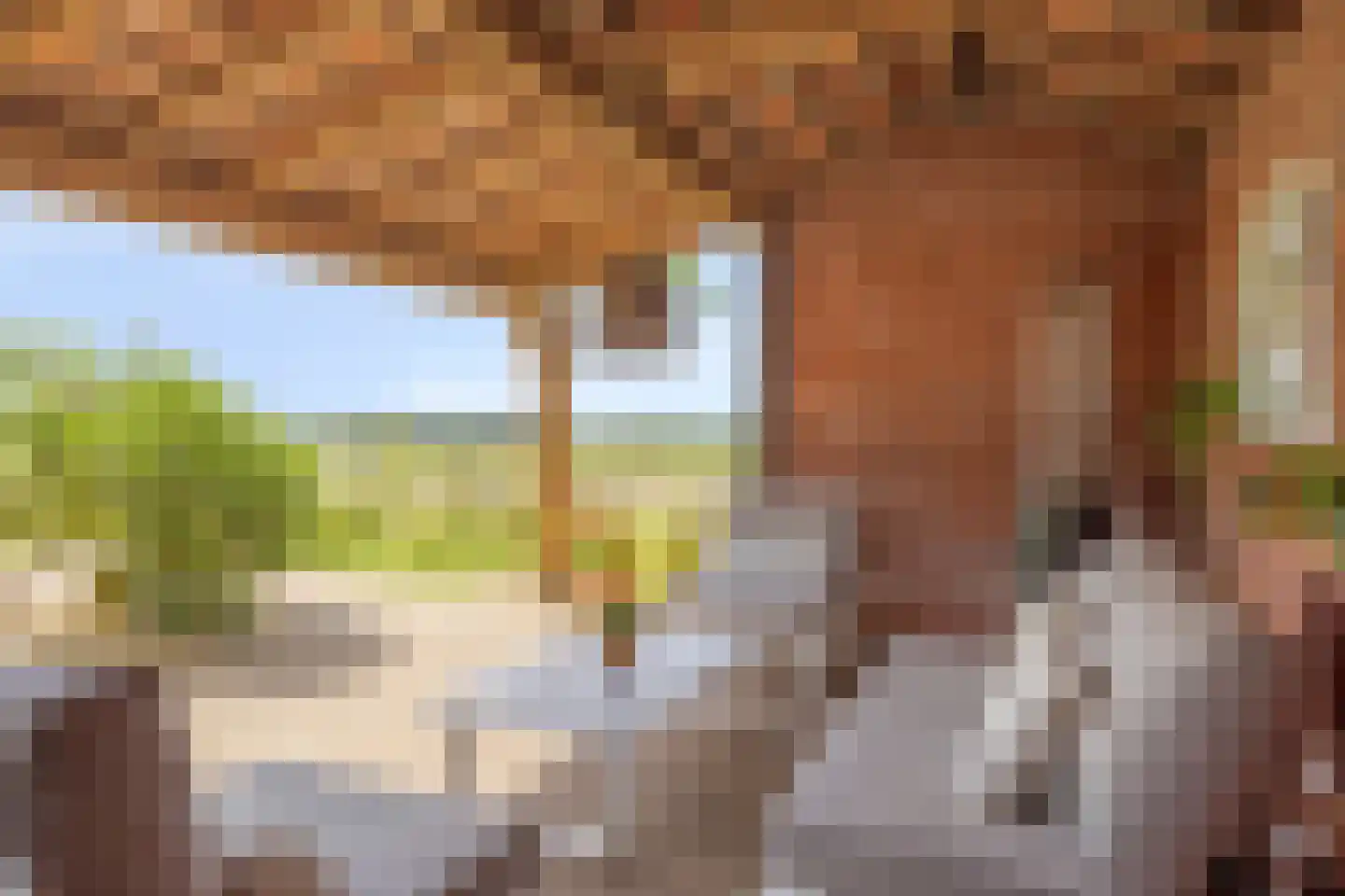 Baarleseweg 28 Ulicoten thumbnail 37