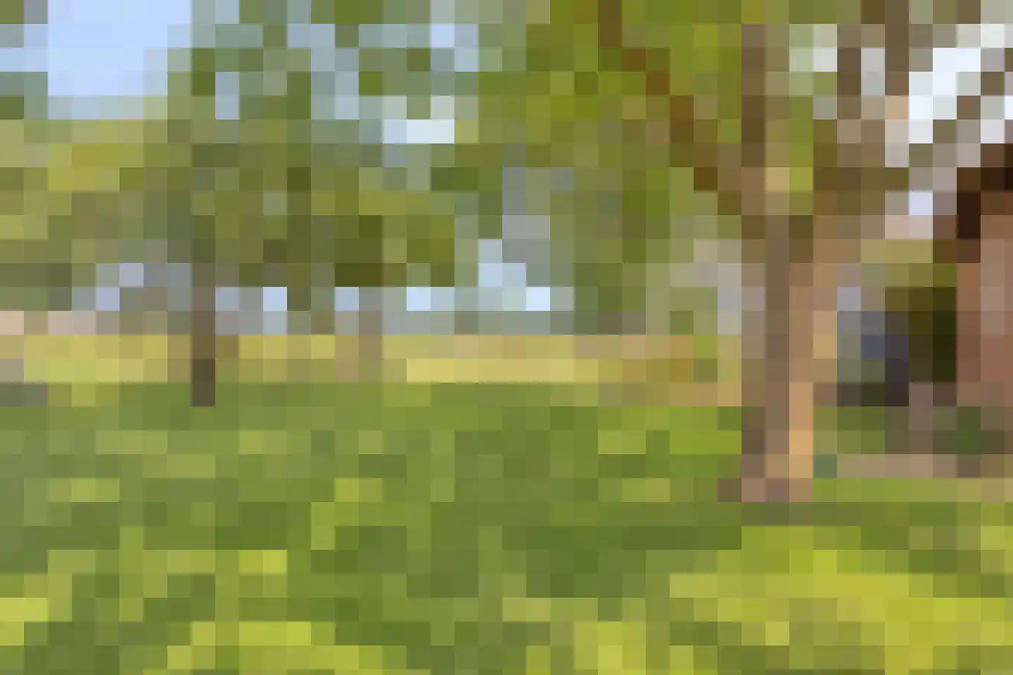 Baarleseweg 28 Ulicoten thumbnail 42