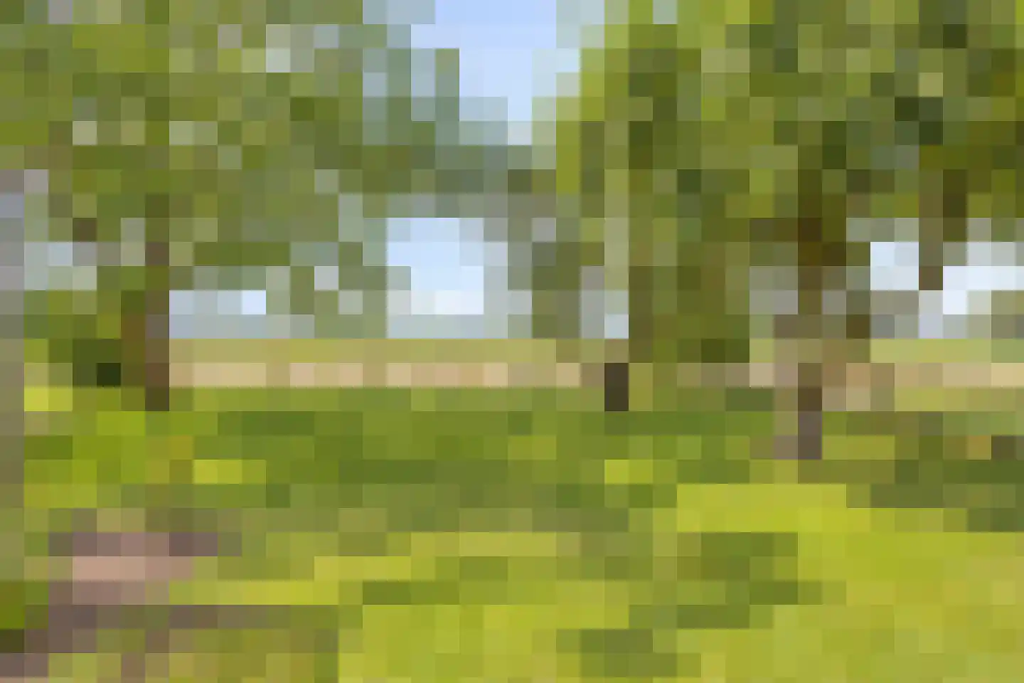 Baarleseweg 28 Ulicoten thumbnail 43