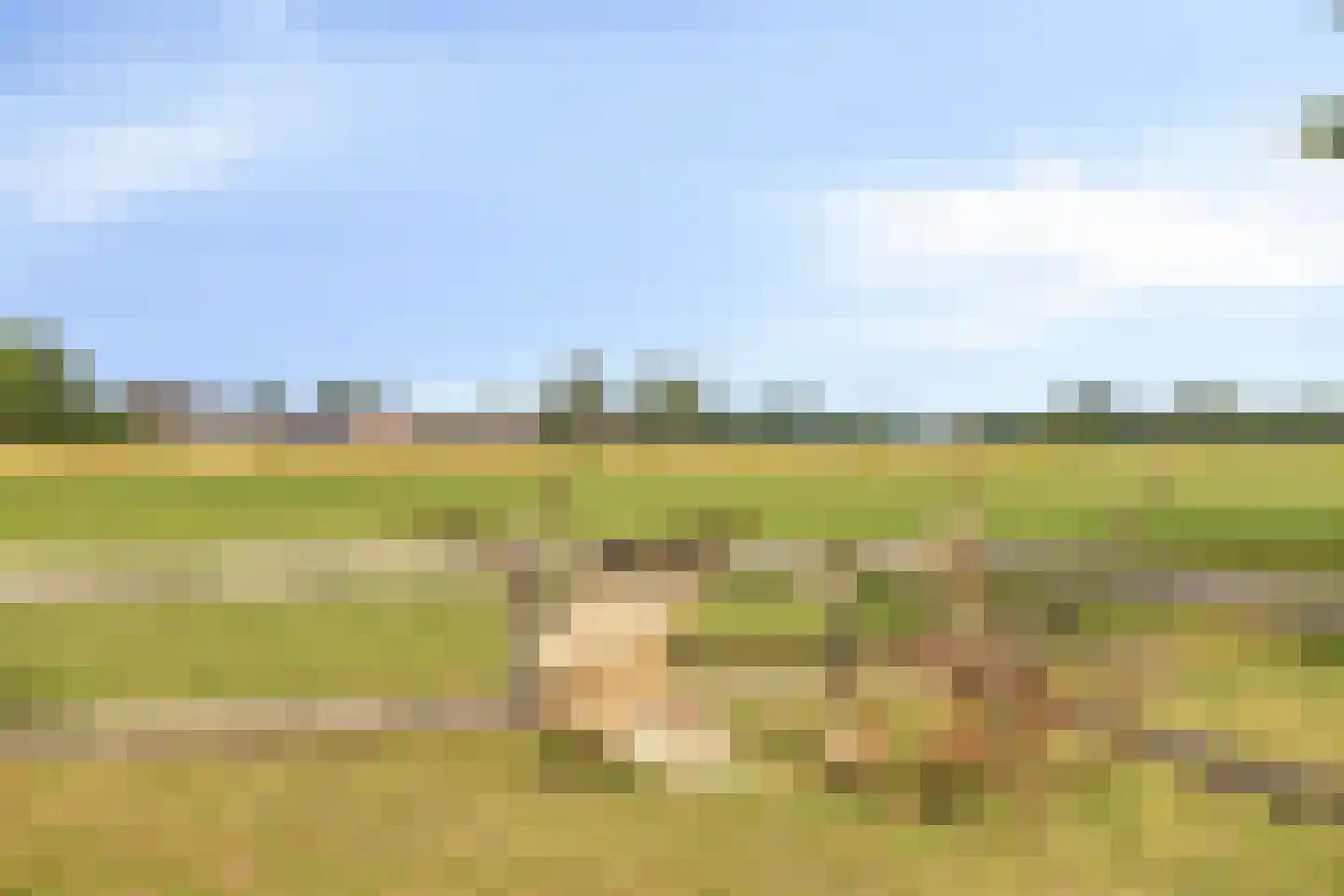 Baarleseweg 28 Ulicoten thumbnail 44