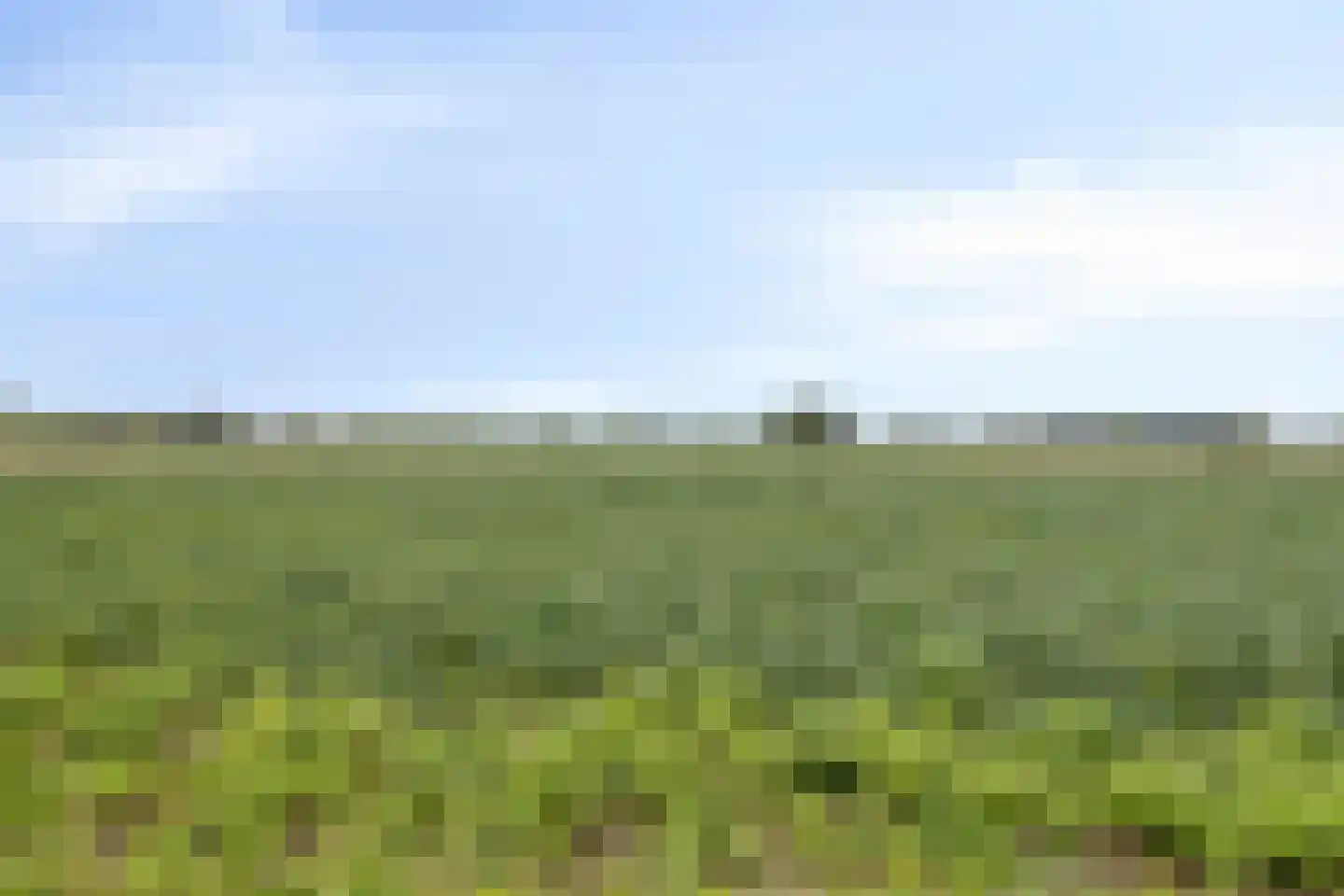 Baarleseweg 28 Ulicoten thumbnail 48