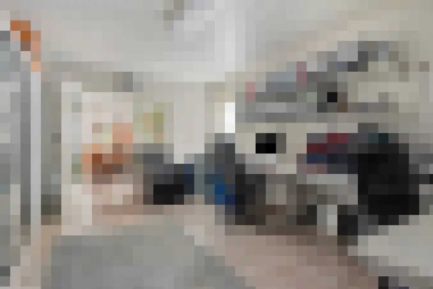 Baarleseweg 29 a Chaam thumbnail 19