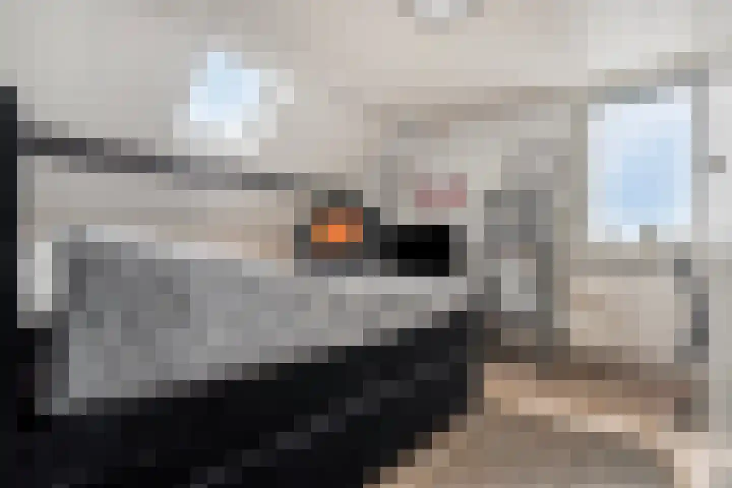 Baarleseweg 29 a Chaam thumbnail 37