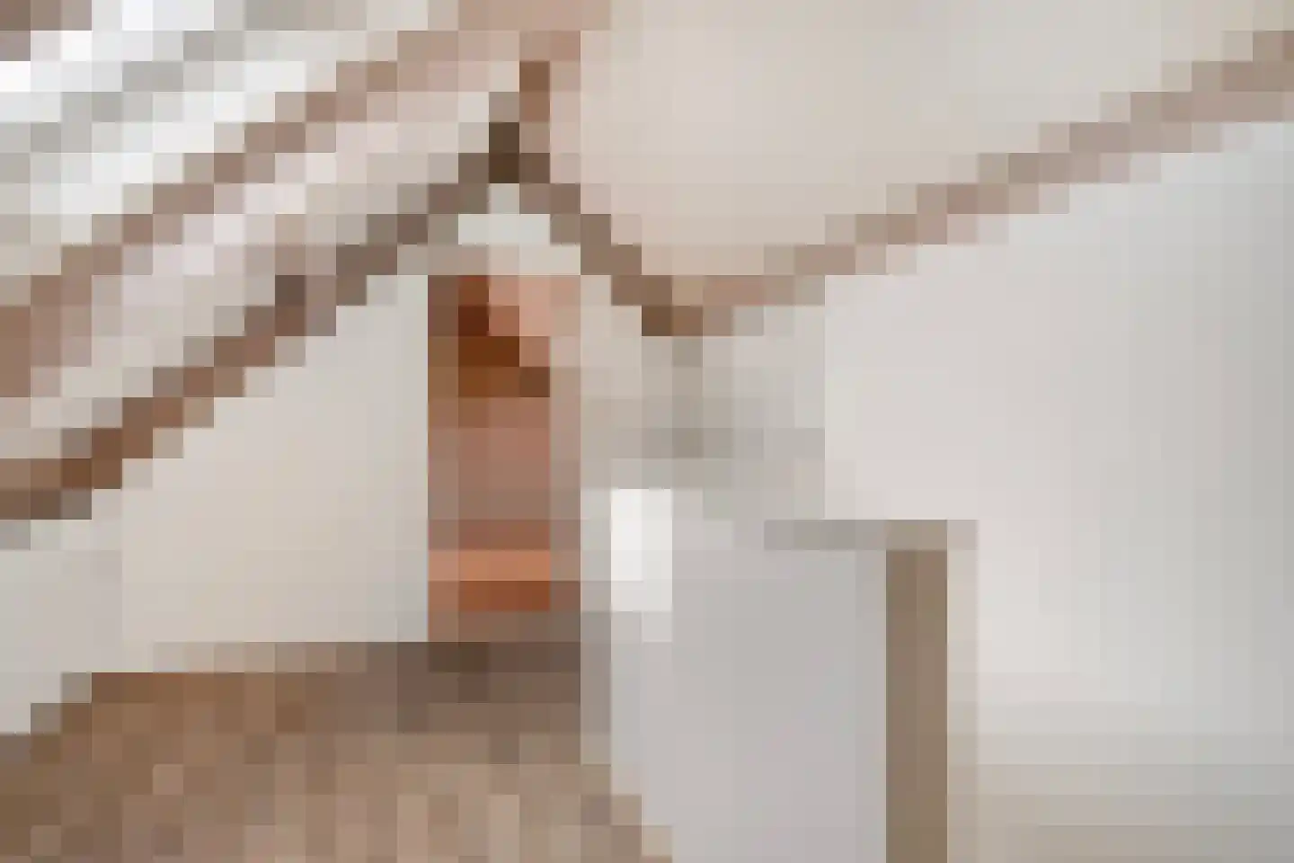 Baarleseweg 29 a Chaam thumbnail 47