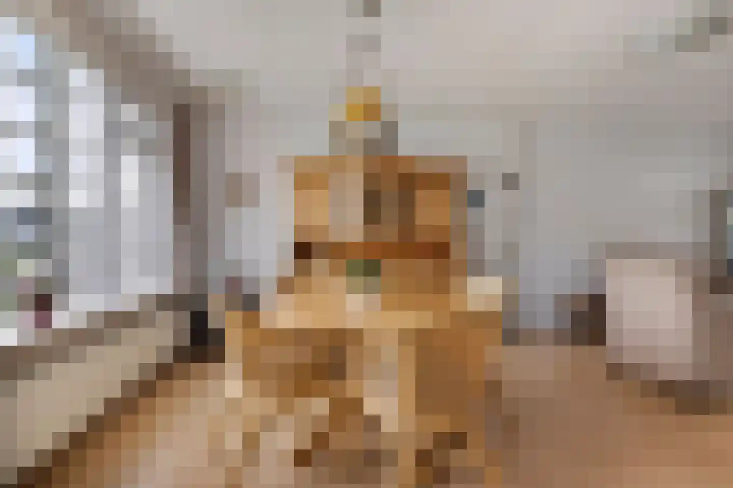 Baarleseweg 32 Chaam thumbnail 10