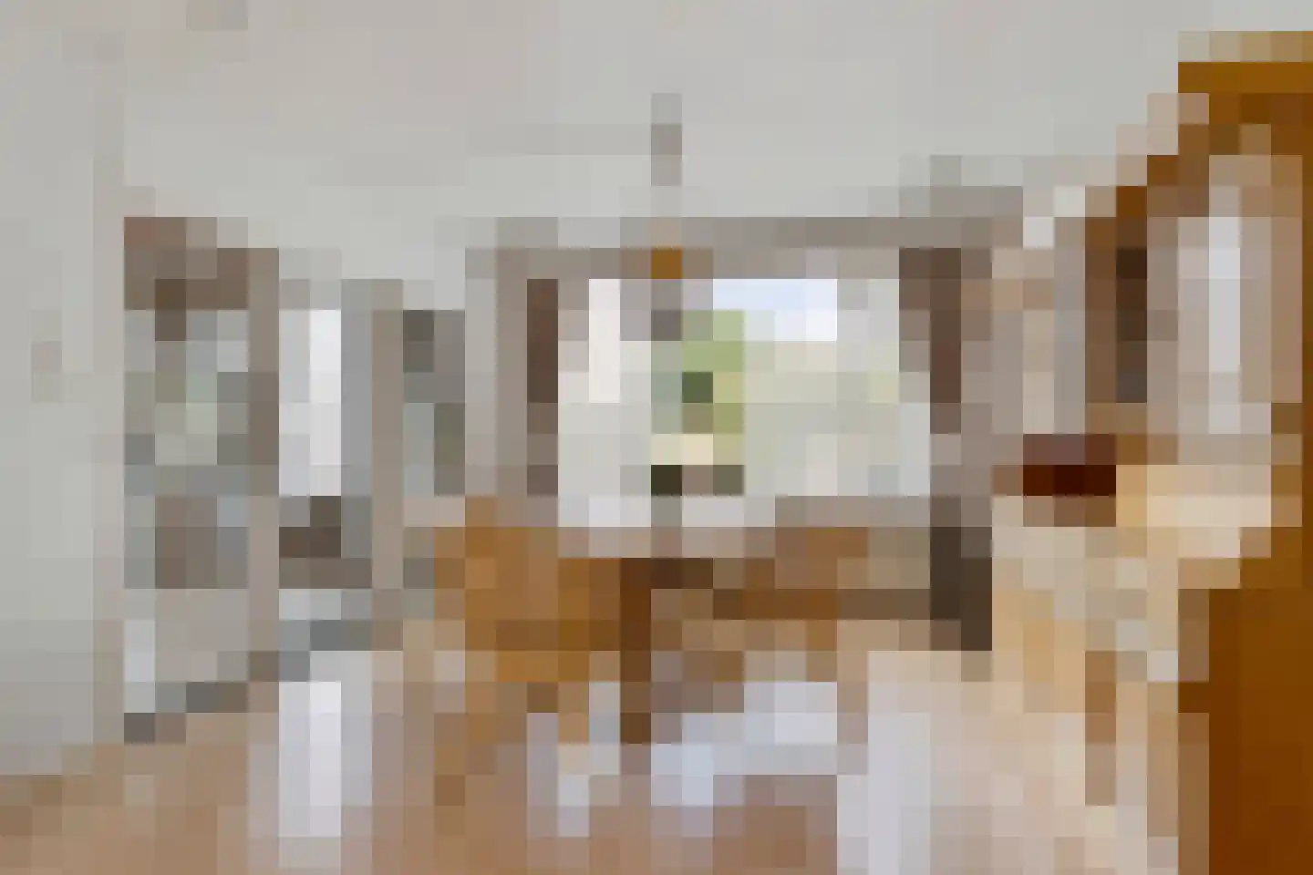 Baarleseweg 32 Chaam thumbnail 11