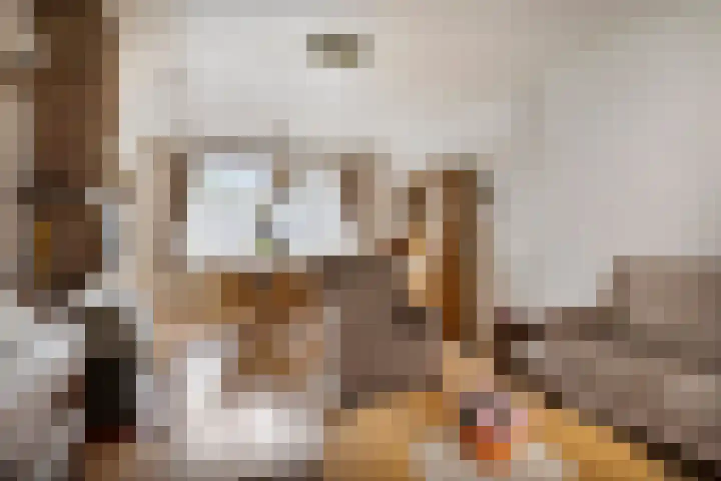 Baarleseweg 32 Chaam thumbnail 14