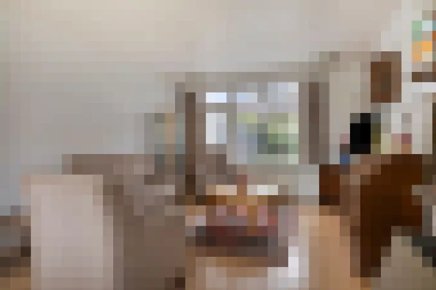 Baarleseweg 32 Chaam thumbnail 15
