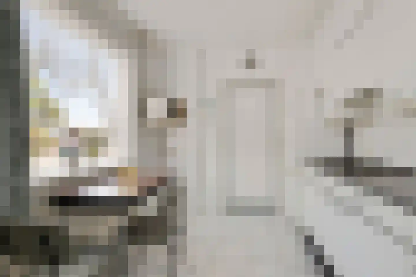 Baarleseweg 32 Chaam thumbnail 16
