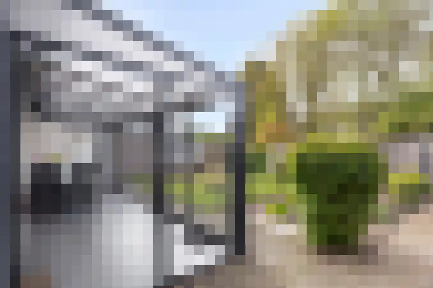 Baarleseweg 32 Chaam thumbnail 23