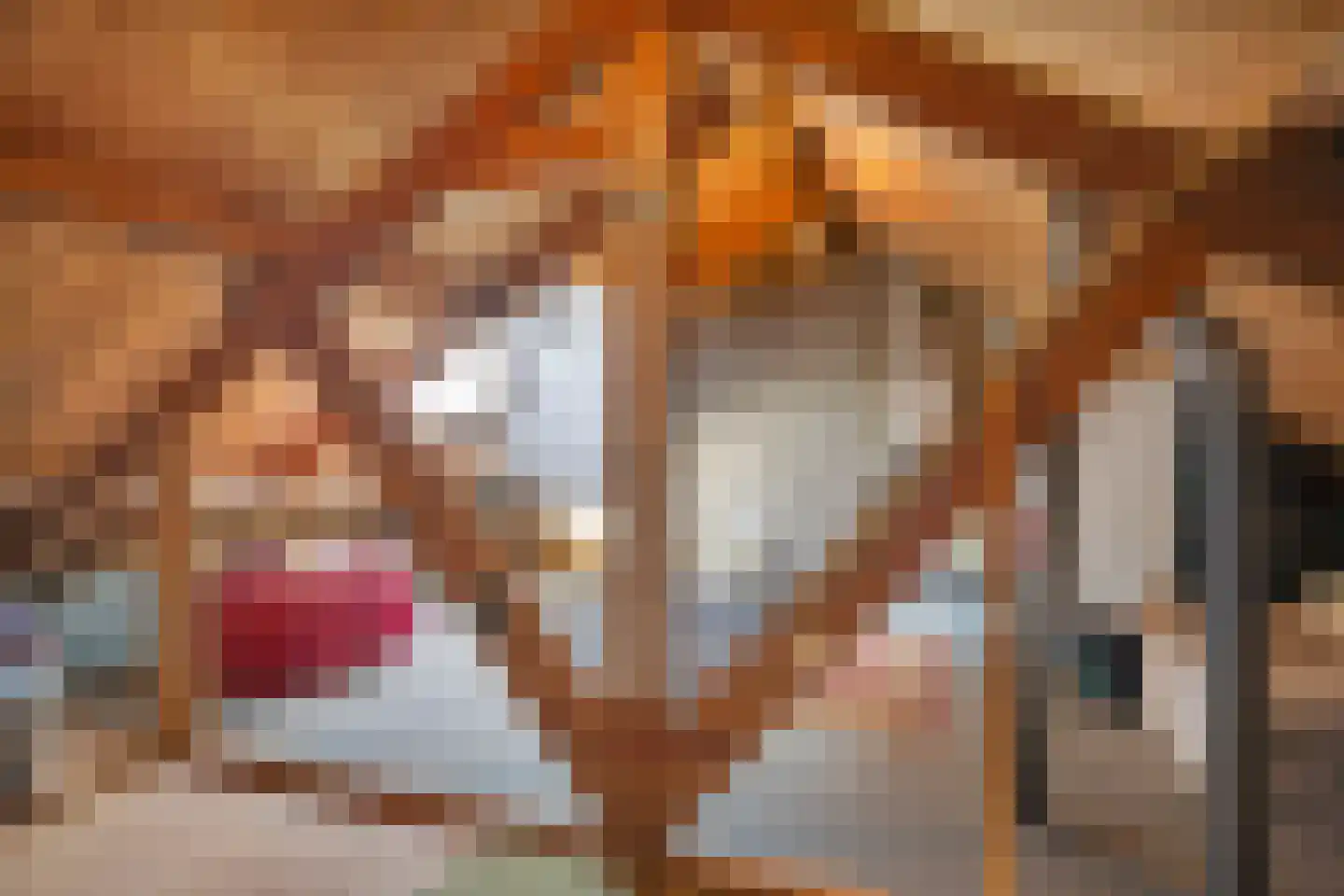 Baarleseweg 32 Chaam thumbnail 25