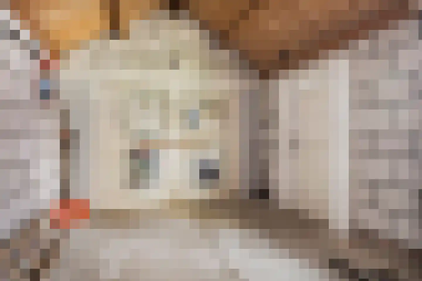 Baarleseweg 32 Chaam thumbnail 32