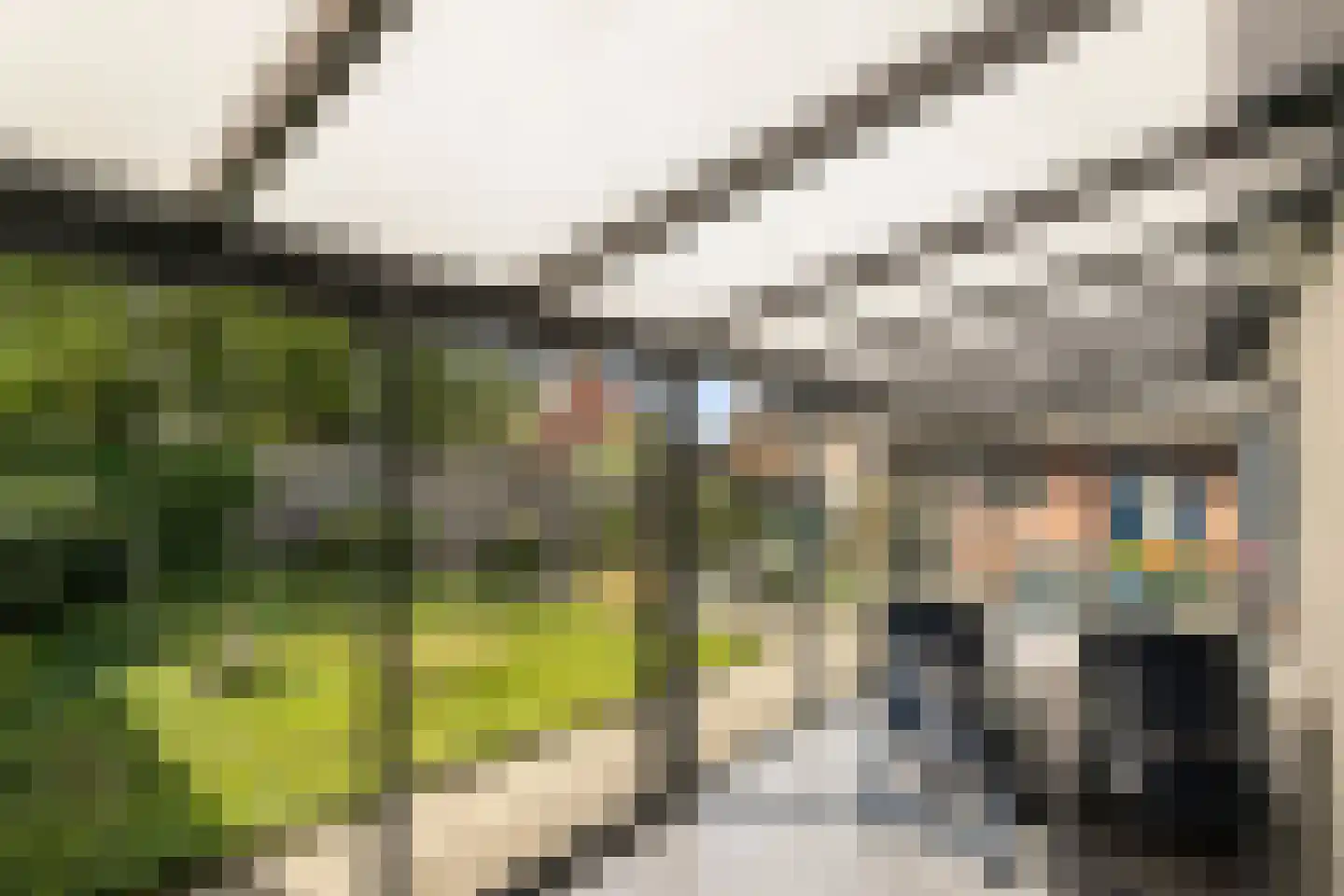 Baarleseweg 32 Chaam thumbnail 4