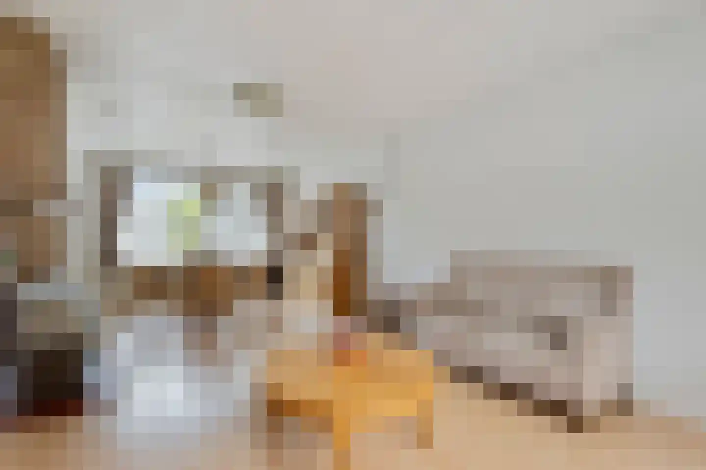 Baarleseweg 32 Chaam thumbnail 8