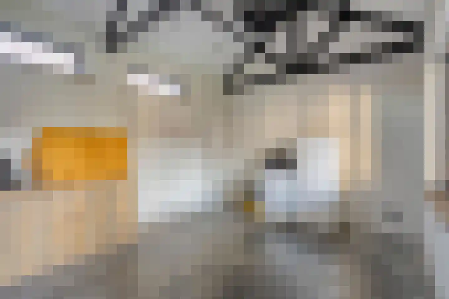 Baarleseweg 34 Chaam thumbnail 36