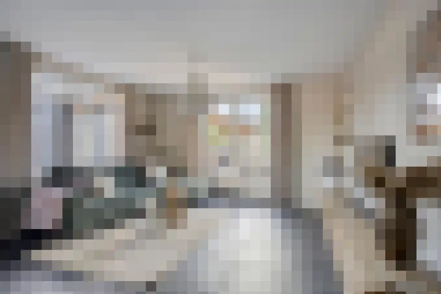 Baarleseweg 34 Chaam thumbnail 6