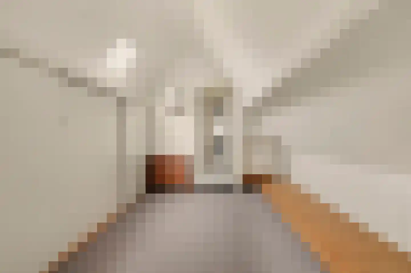 Baarleseweg 35 Alphen thumbnail 46