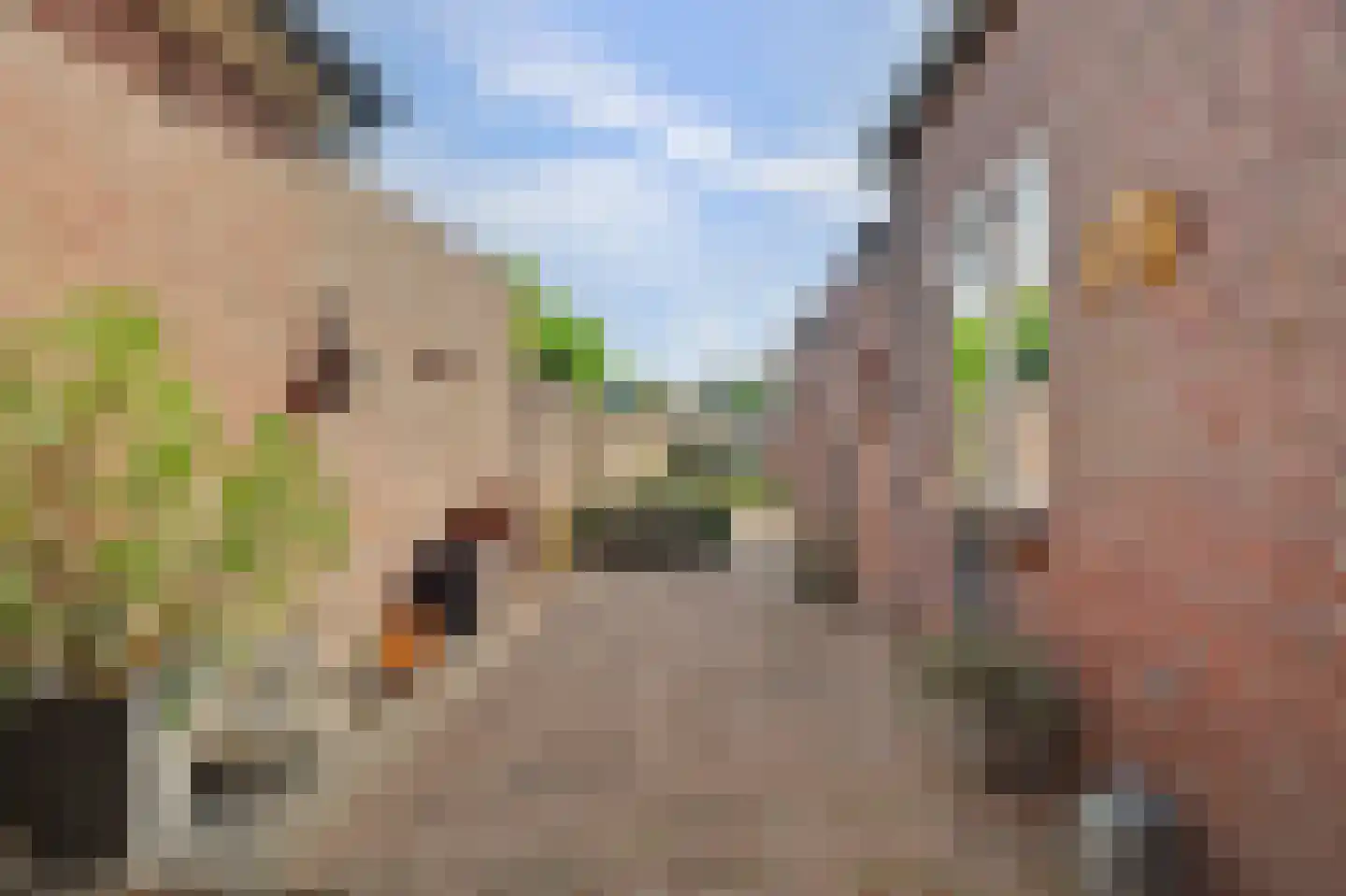 Baarleseweg 35 Alphen thumbnail 48