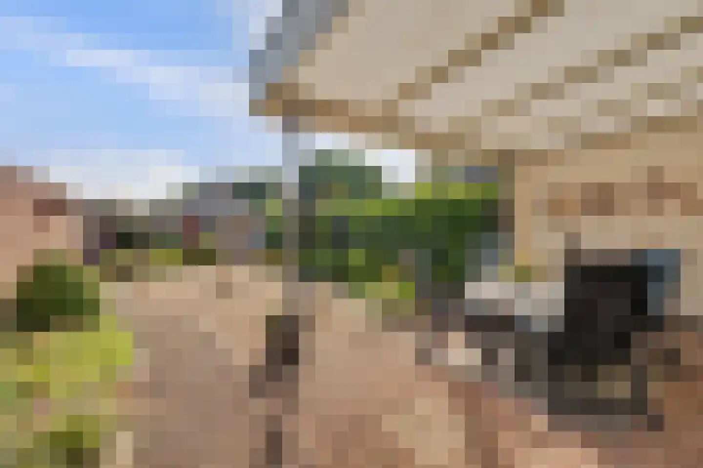 Baarleseweg 35 Alphen thumbnail 49