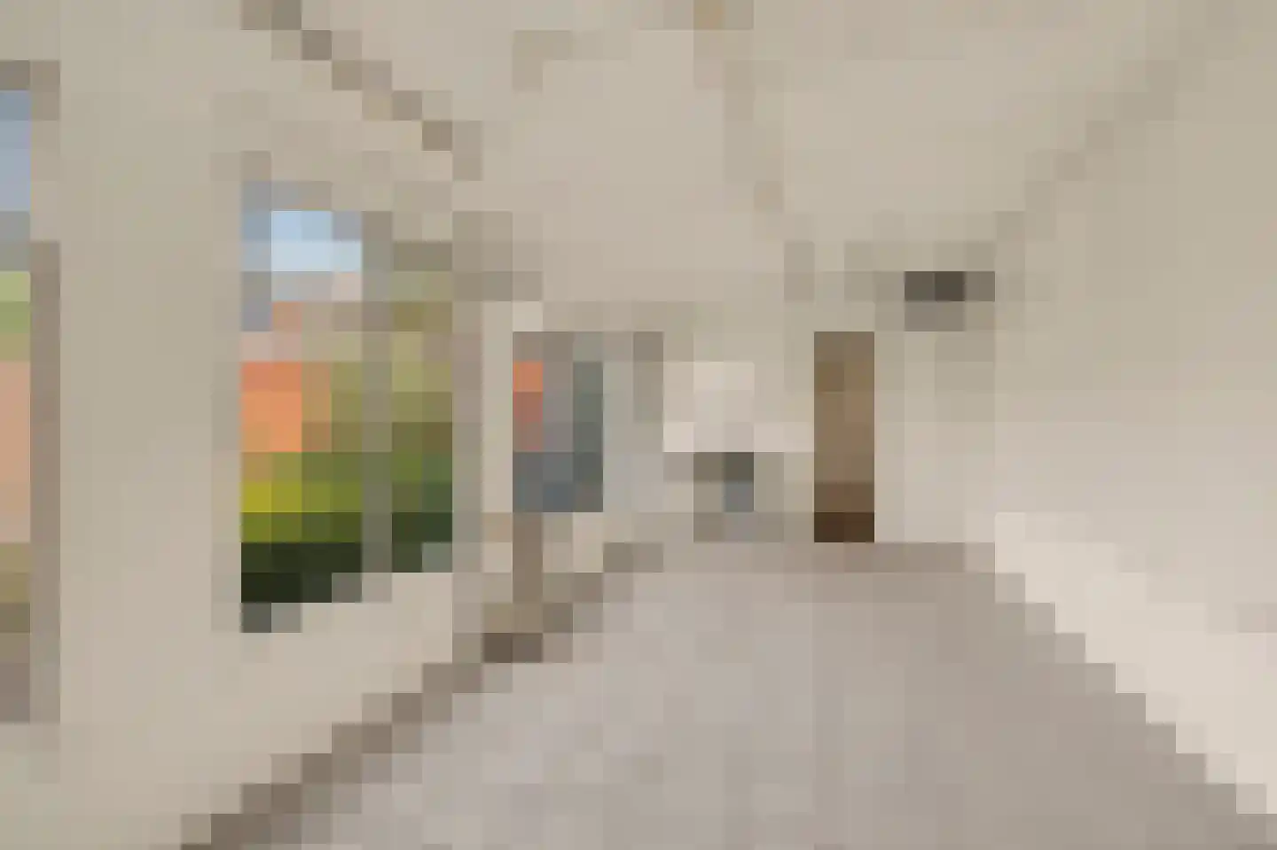 Baarleseweg 35 Alphen thumbnail 54