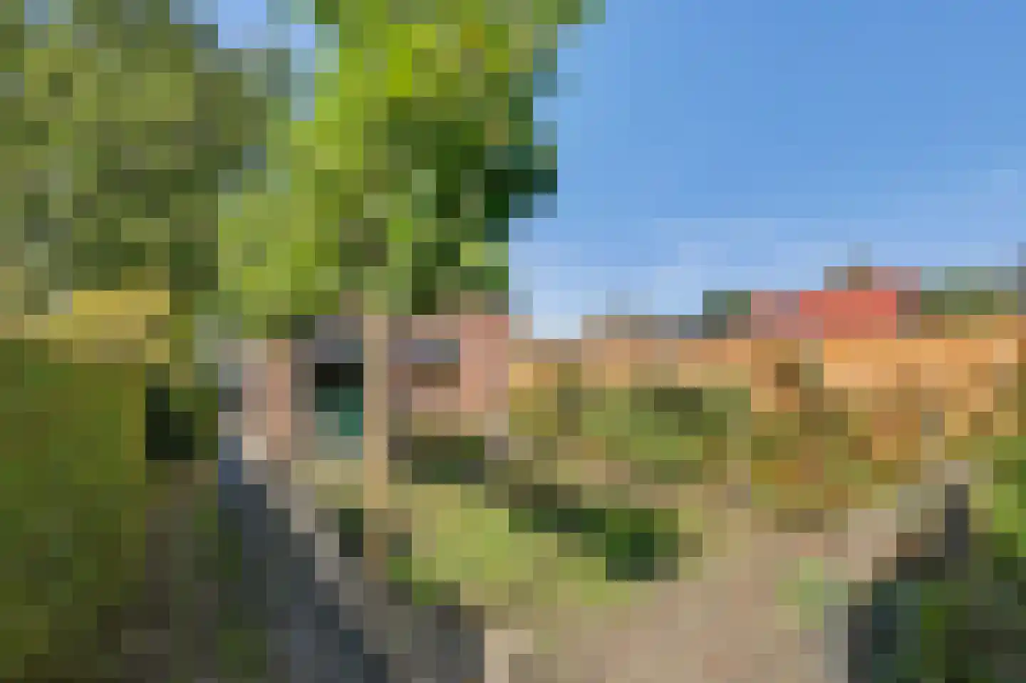 Baarleseweg 38 Alphen thumbnail 43