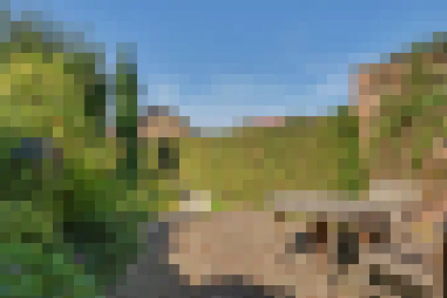 Baarleseweg 38 Alphen thumbnail 6