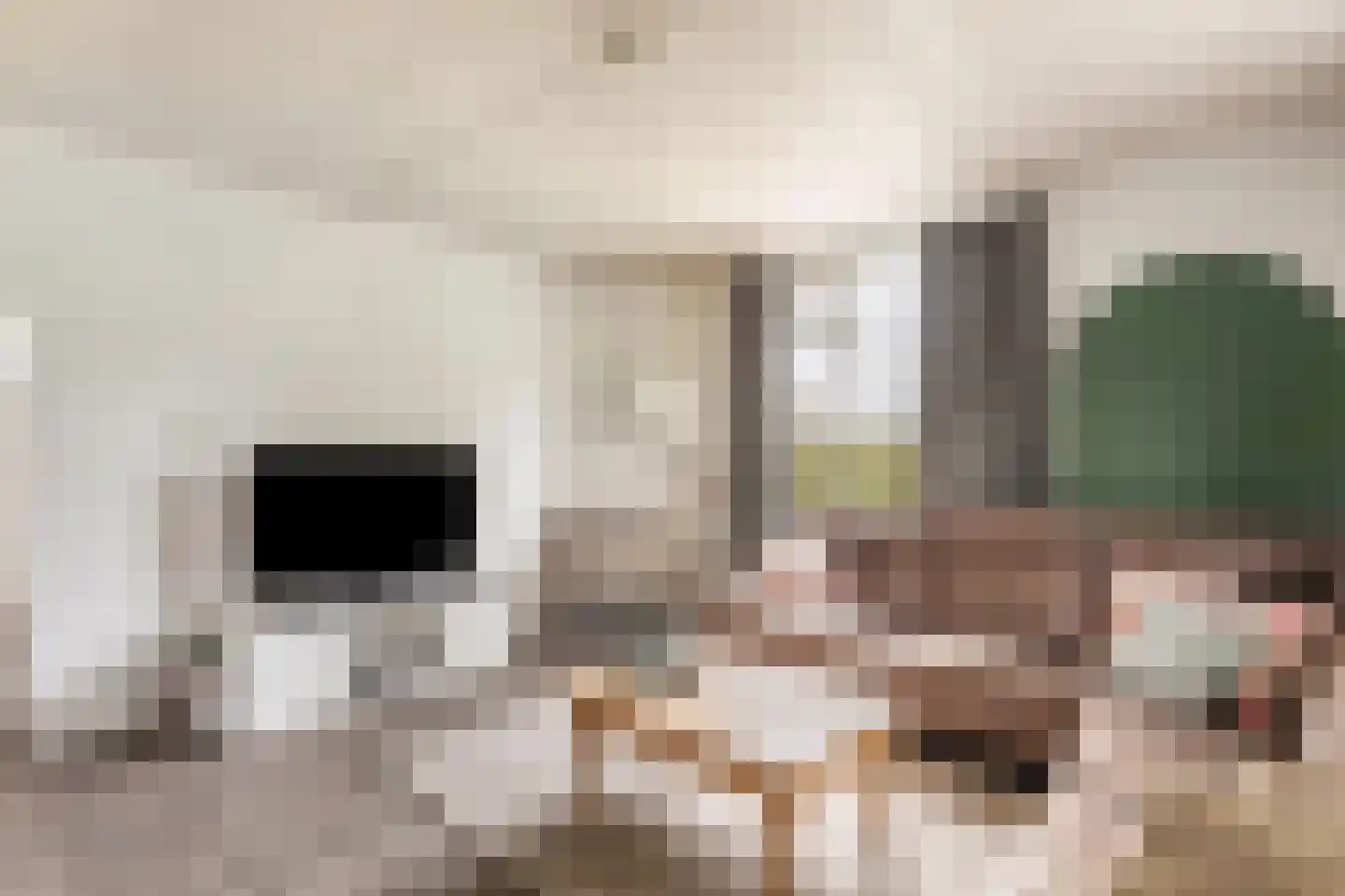 Baarleseweg 49 Chaam thumbnail 37