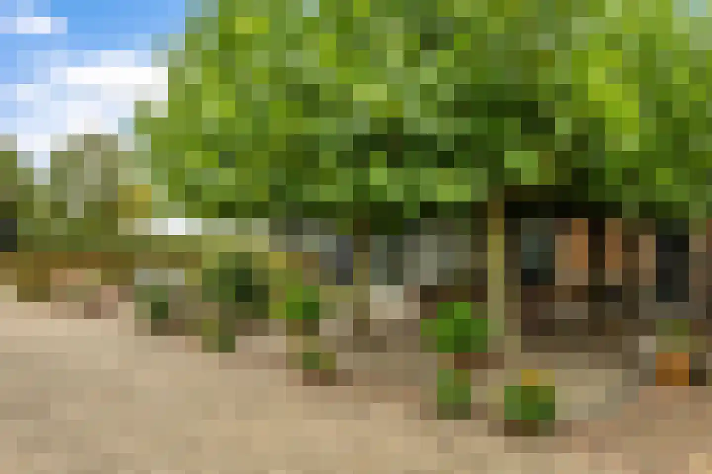Baarleseweg 49 Chaam thumbnail 53