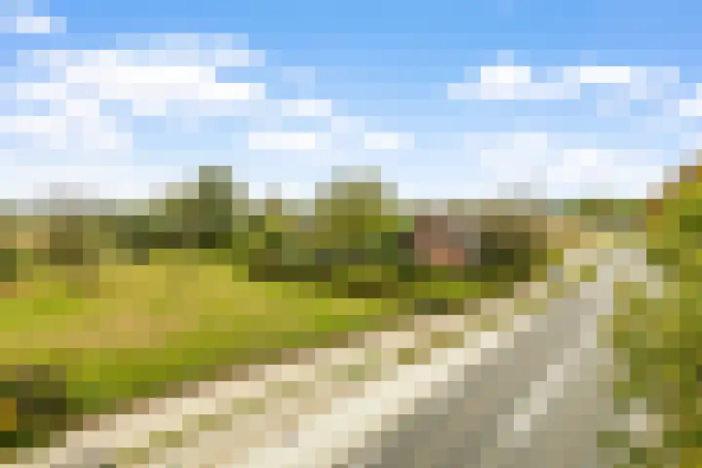 Baarleseweg 49 Chaam thumbnail 59