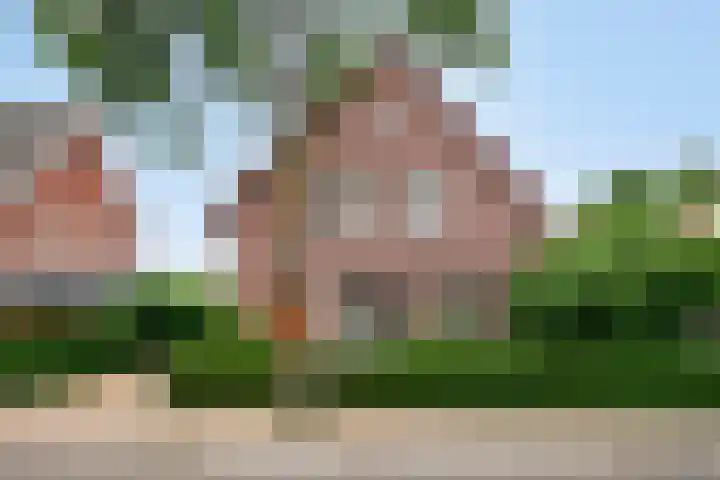 Baarleseweg 52 Alphen thumbnail 4