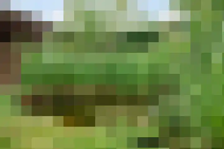 Baarleseweg 52 Alphen thumbnail 64
