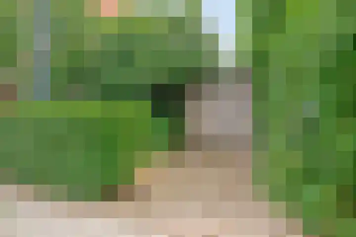 Baarleseweg 52 Alphen thumbnail 69