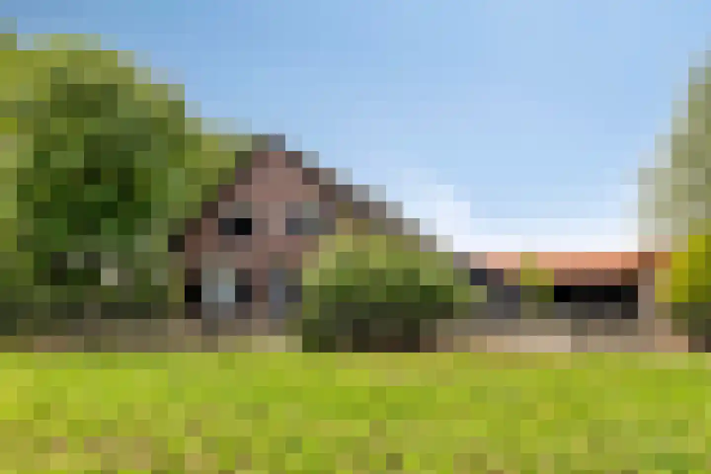 Baarleseweg 68 Chaam
