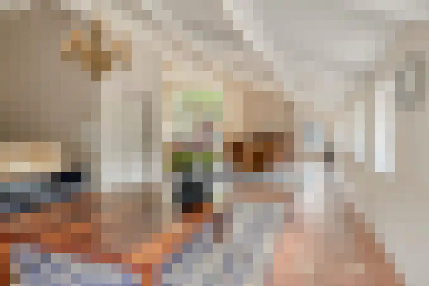 Baarleseweg 68 Chaam thumbnail 13