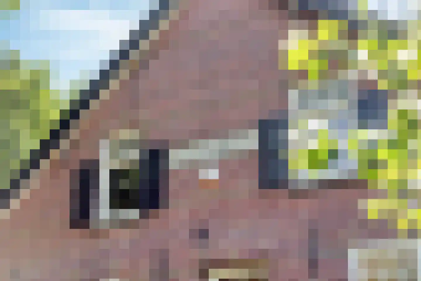 Baarleseweg 68 Chaam thumbnail 48