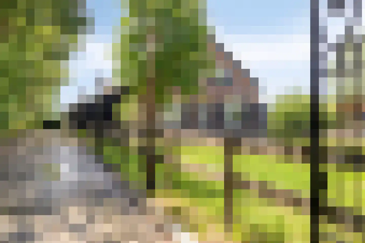 Baarleseweg 68 Chaam thumbnail 49