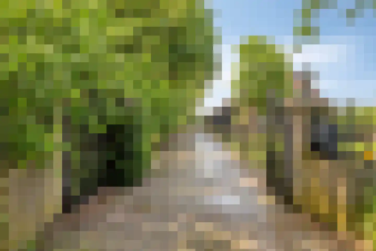Baarleseweg 68 Chaam thumbnail 53